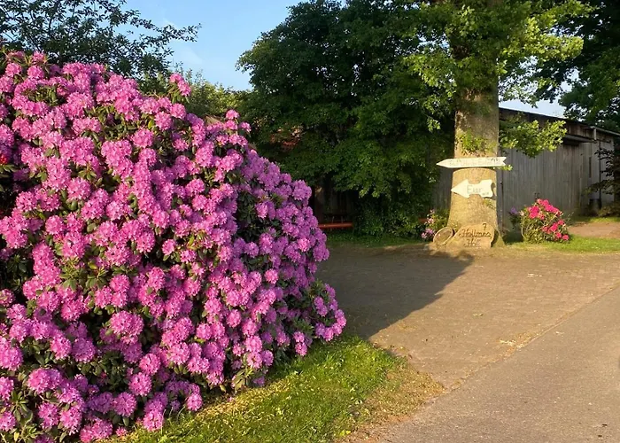 Unter Den Eichen